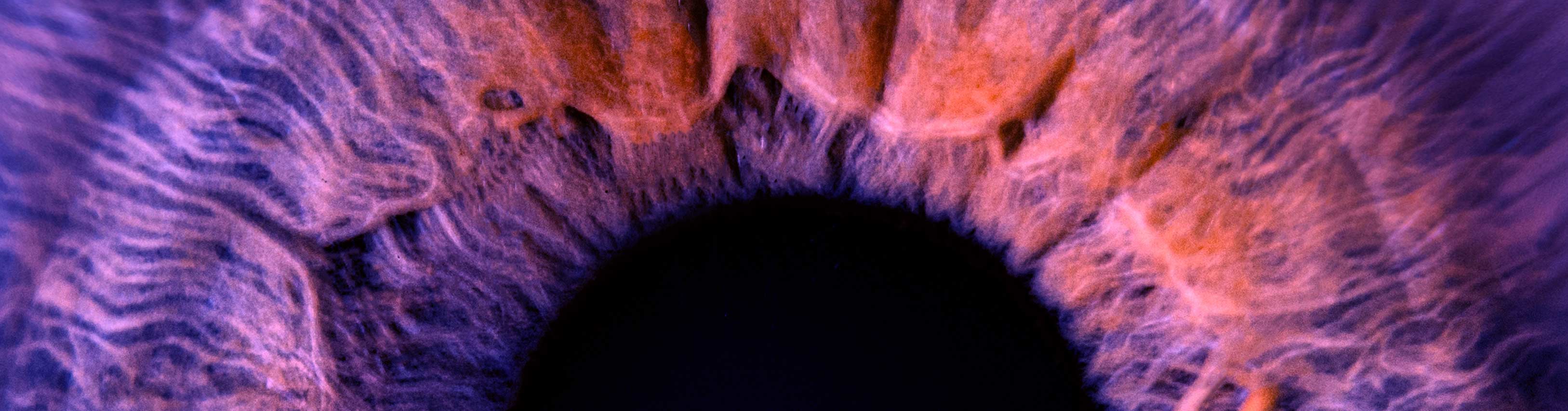 Zeit- und Stressmanagement 24.06.2026