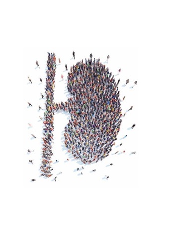 12. Forum für Hygiene und Infektiologie in der Dialyse 27. November 2025